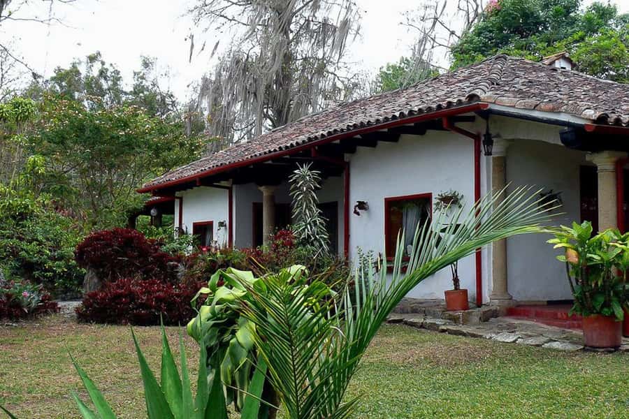 From Bogotá: Coffee Farm Experience Private Day Tour - Key highlights worth your time