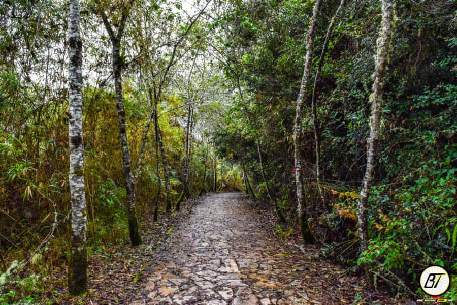 From Bogota: Guatavita Lake & Zipaquira Salt Cathedral Tour - Zipaquira Salt Cathedral: the underground mine you walk through like a cathedral