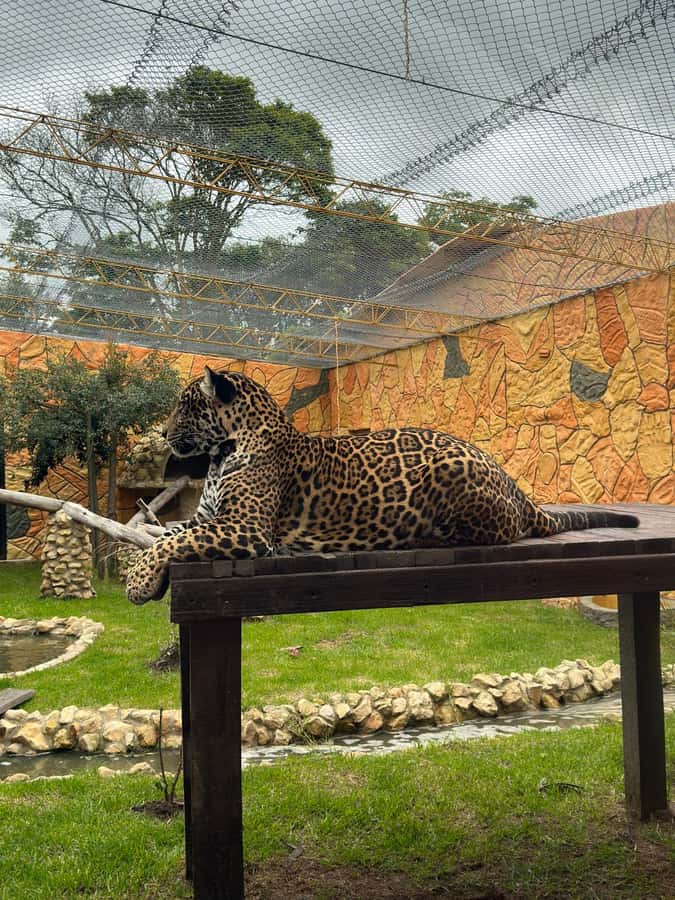 From Bogota: Jaime Duque Park and zoo with ticket included - Bioparque Wakatá: 500+ animals without feeling like you are speed-running
