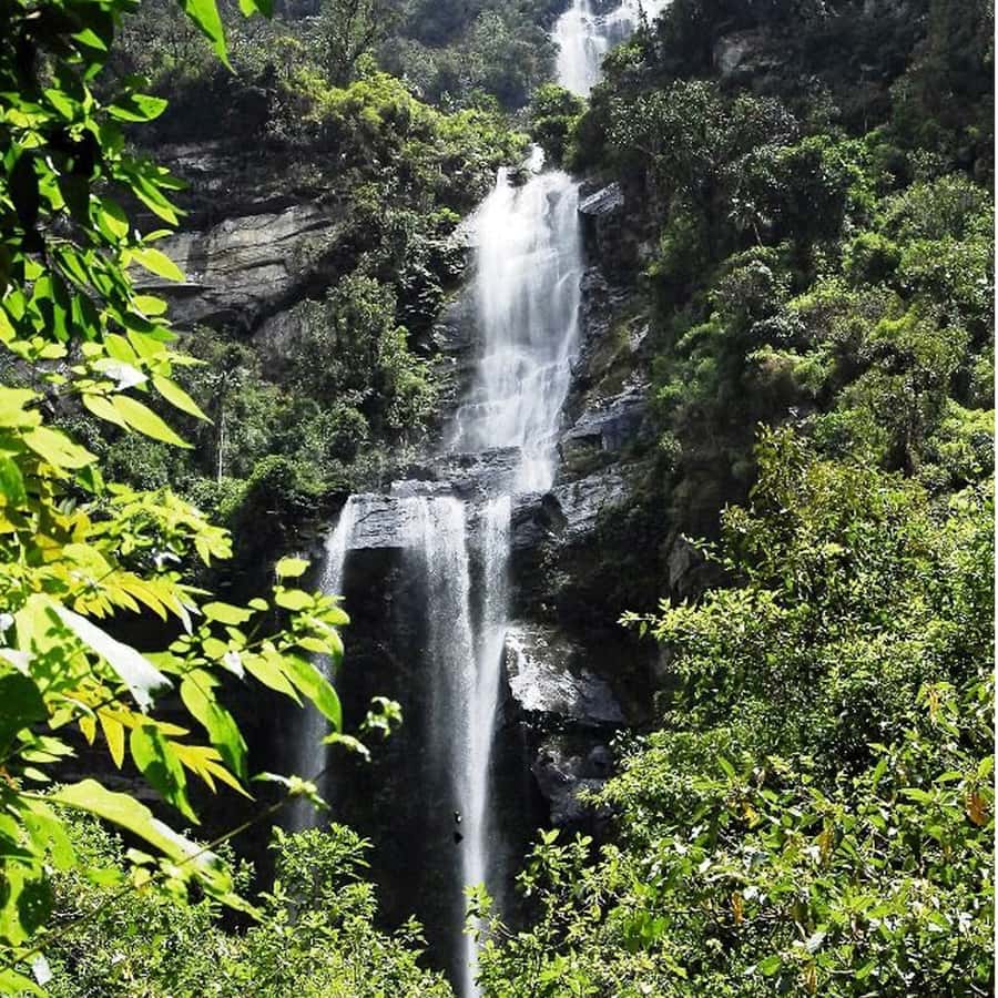 From Bogota: La Chorrera Waterfall Guided Hike - From Bogotá to Choachí, the Easy Start That Sets Up Real Nature