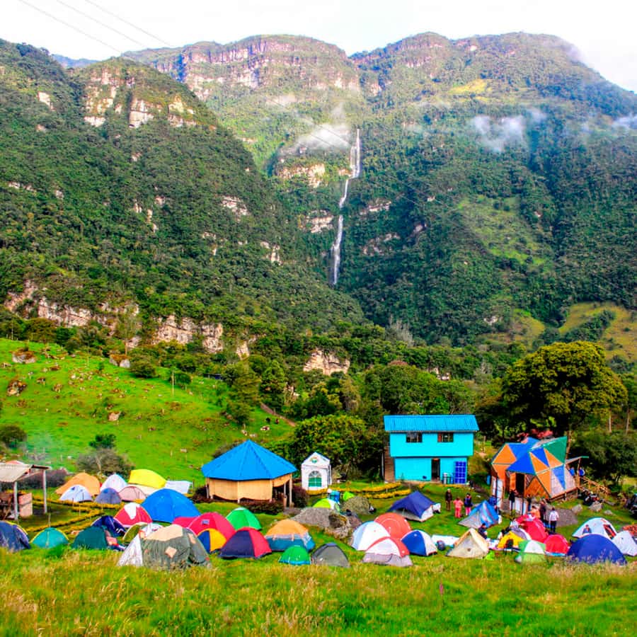 From Bogota: La Chorrera Waterfall Guided Hike - La Chorrera Park Trail, Birds, Plants, and Different Forest Types
