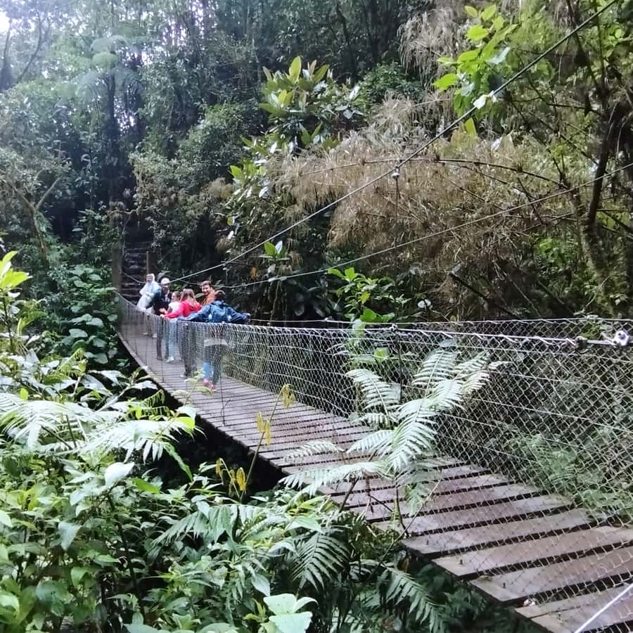From Bogota: La Chorrera Waterfall Guided Hike - Pacing and Difficulty, When the Water Looks Different
