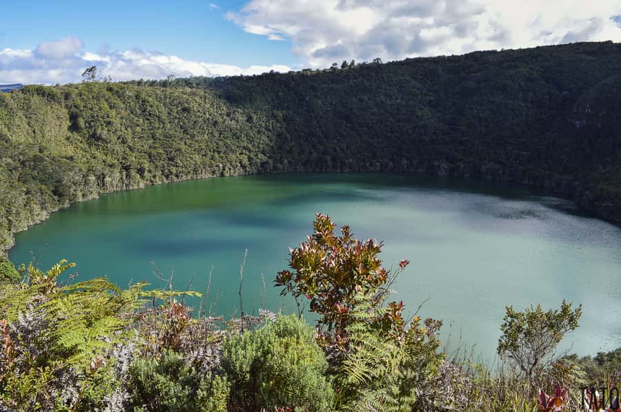 From Bogotá: Lake Guatavita and the El Dorado Legend Tour - The 8-hour rhythm from Bogotá, and what it means for your day
