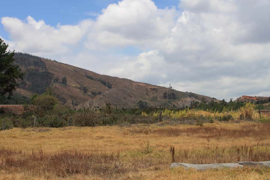 From Bogotá: Private Tour to Villa de Leyva - Ain Karim vineyard tour and wine tasting, with a reality check
