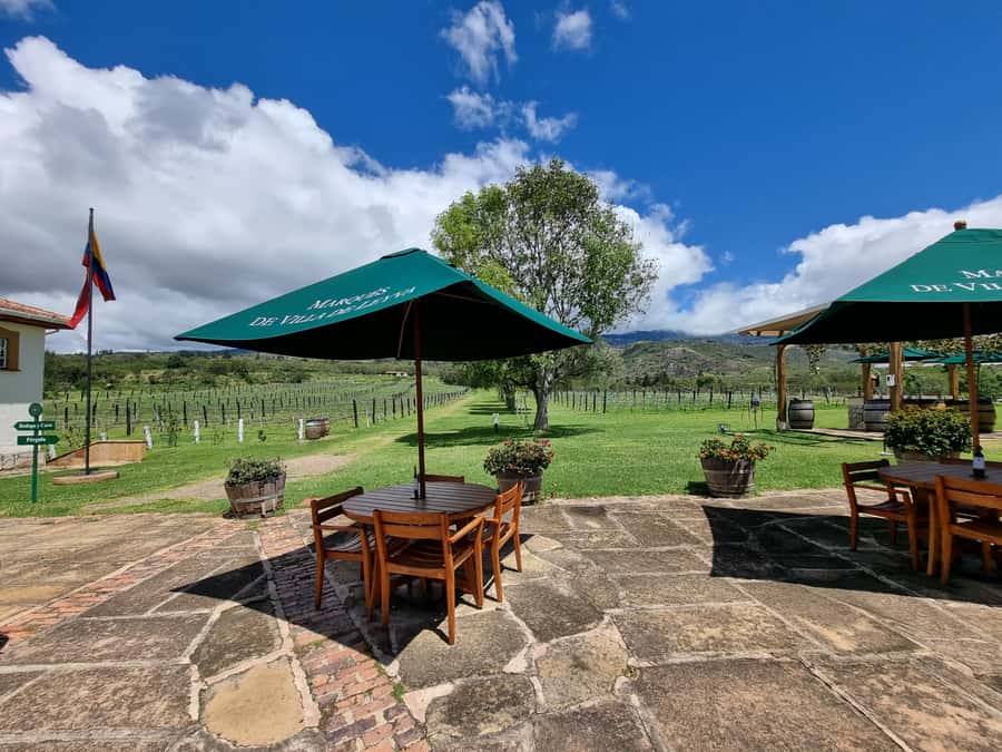 From Bogotá: Private Tour to Villa de Leyva - Who this private Villa de Leyva day trip is best for