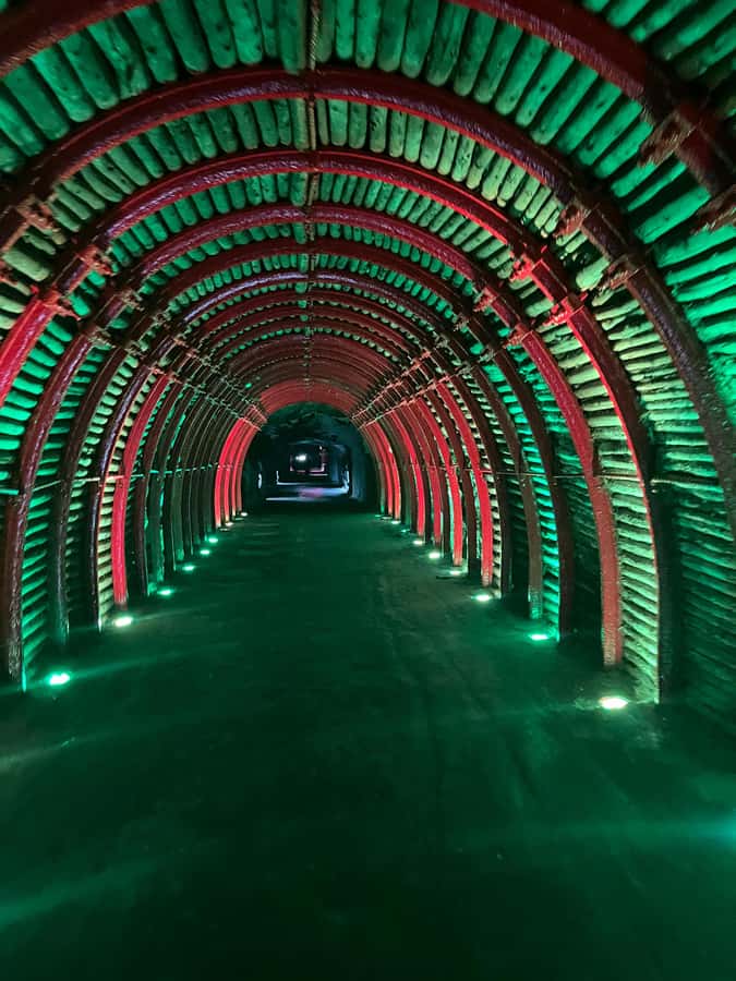 FROM BOGOTA: Salt Cathedral and Andrés Carne de Res (Chía) Tour - A Day Linking Two Very Different Icons: Salt Cathedral and Andrés Carne de Res