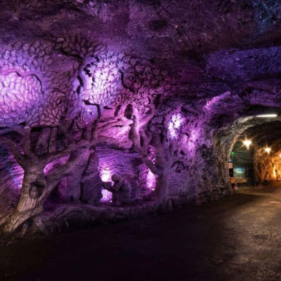 From Bogota: Salt Cathedral Tour in Zipaquirá - The pre-cathedral stop: coffee, tastings, and arts and crafts
