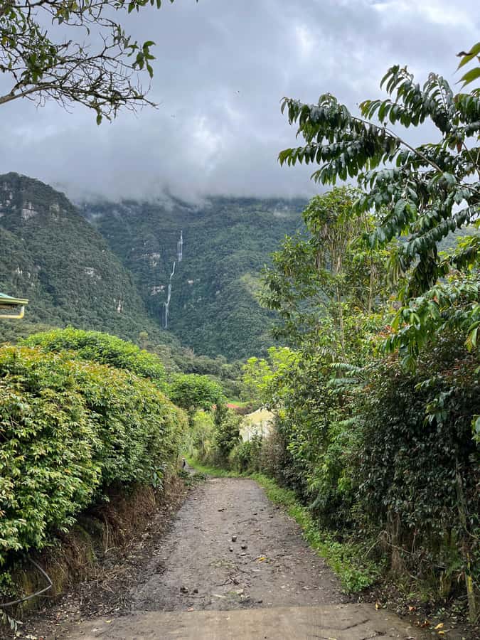 FROM BOGOTA: Tour to La Chorrera, Colombia's highest waterfall. - Key Highlights You Will Actually Feel