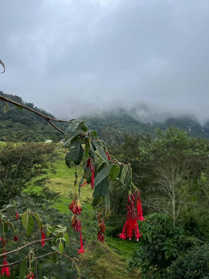 FROM BOGOTA: Tour to La Chorrera, Colombia's highest waterfall. - The 7-Hour Rhythm That Keeps Things Comfortable