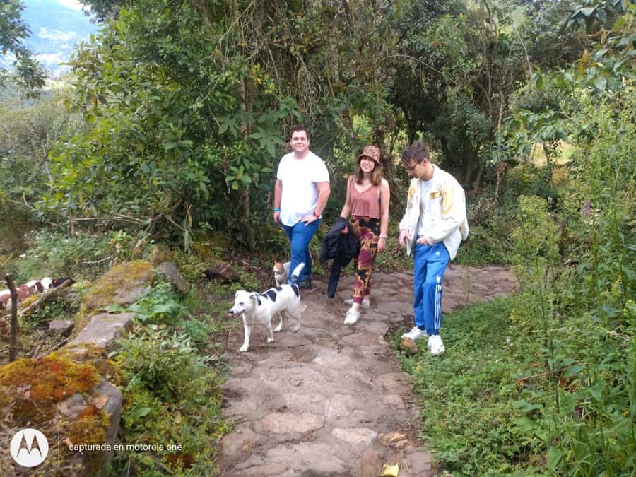 From Bogotá: Tour to the Waterfall of La Chorrera - Getting out of Bogotá: 8:00 pickup and the road to Cundinamarca