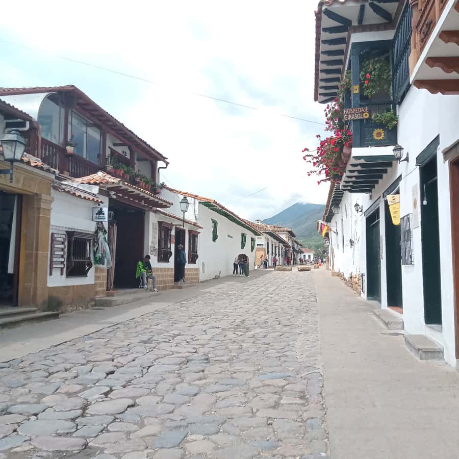 From Bogota: Villa de Leyva Day Magic Town Tour - Price and Value at $154 per Person