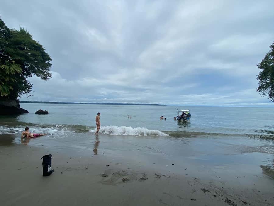 From Cali: Whale Watching Day Trip in Buenaventura - Key highlights to care about