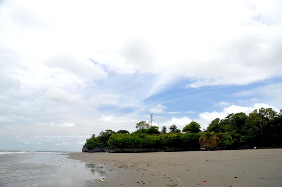 From Cali: Whale Watching Day Trip in Buenaventura - Buenaventura port day start: guided orientation before the speedboat