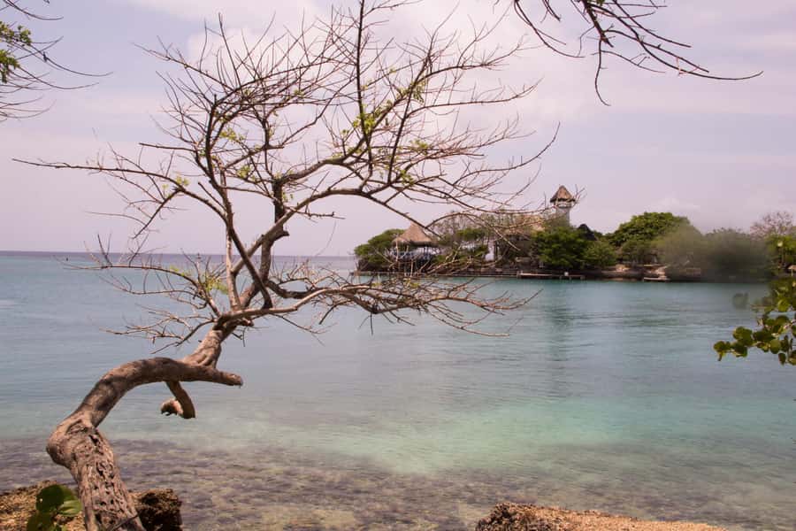 From Cartagena: Rosario Islands Day Trip - Isla del Sol private island: the most relaxing part of the day