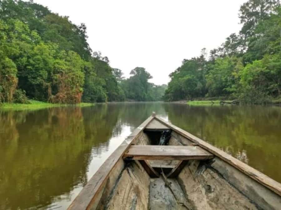 From Leticia: Wild Amazonas Adventure 4-Day Tour - Day 2: Boat to Puerto Nariño, lookout tower, and Tikuna dinner