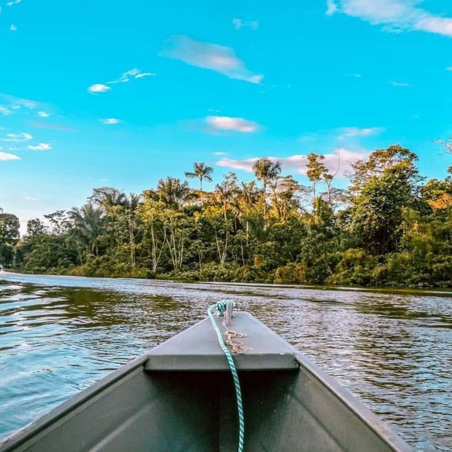 From Leticia: Wild Amazonas Adventure 4-Day Tour - Accommodations, electricity, and the jungle rules that affect your comfort