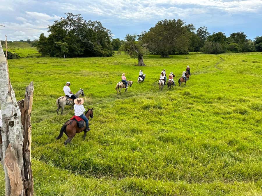 From Medellin; (All-In) The Real Horseback Ranch Experience - Ranch to Reality, Starting With a Very Early Medellín Pick-Up