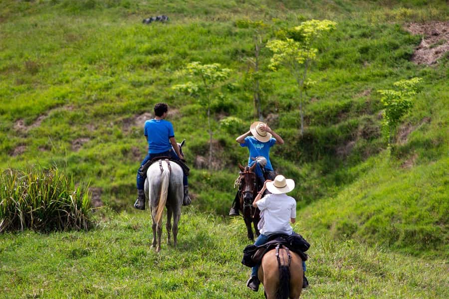 From Medellin; (All-In) The Real Horseback Ranch Experience - The Fiambre Picnic in the Fields (Palm Leaves Included)