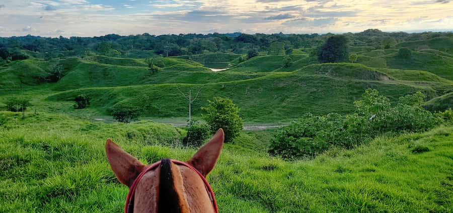 From Medellin; (All-In) The Real Horseback Ranch Experience - Guides, Group Size, and Why Carlos Gets Mentioned