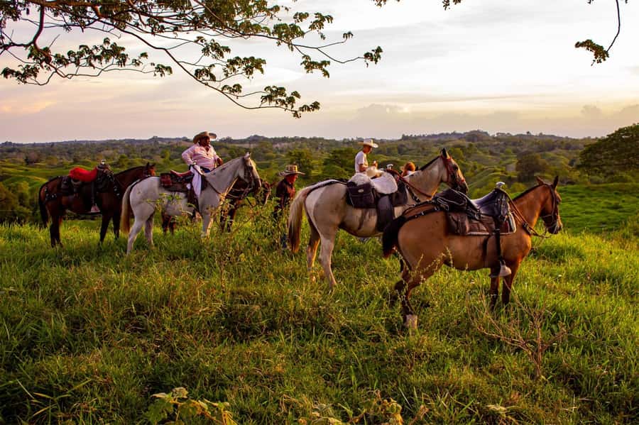 From Medellin; (All-In) The Real Horseback Ranch Experience - El Hato Breakfast, Then Safety Briefing Before You Saddle Up