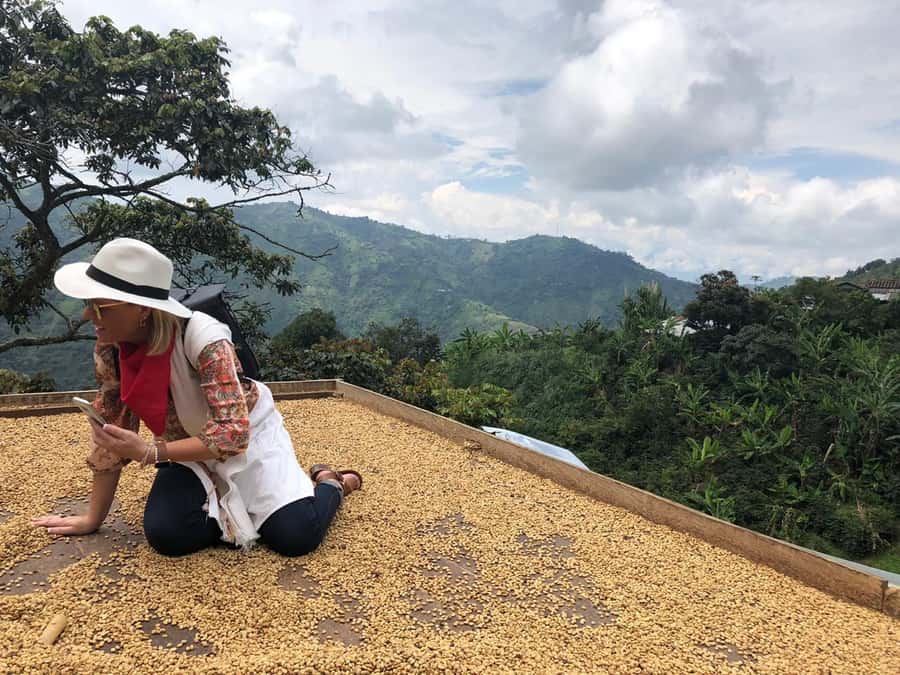From Medellin: Day Trip to a Jardin Coffee Plantation - The coffee plantation tour: where the “from bean to cup” lesson becomes real