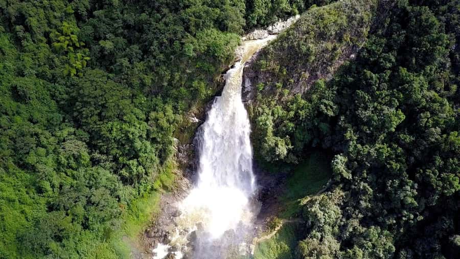 From Medellín: Dream Hammocks, Zipline, & Waterfall Day Trip - Guide quality is the difference between scary and safe