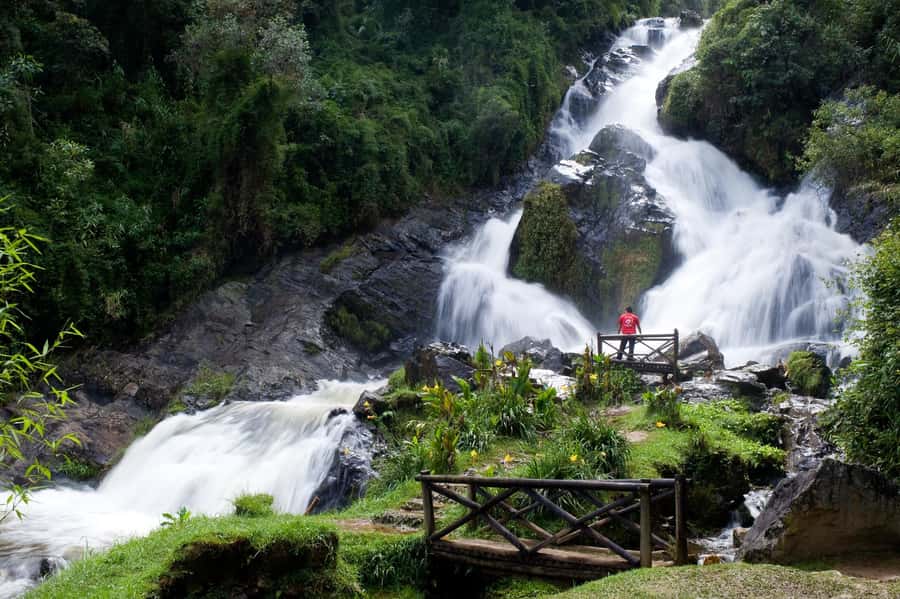 From Medellín: El Retiro Private Tour with Food Tastings - The Andes-to-El Retiro mix that actually feels like a real day