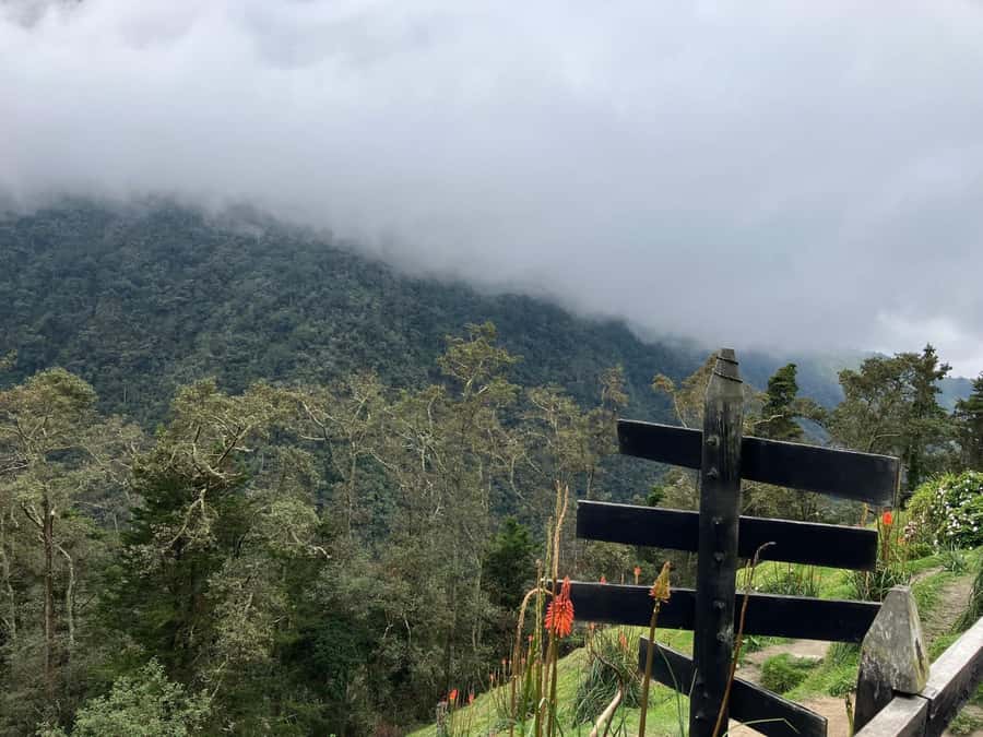 From Medellín: Jardín Private 2-Day Tour with Activities - Price and value: what $245 per person buys you