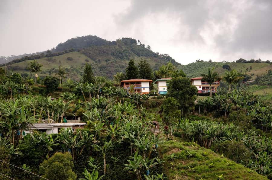 From Medellín: Jardín Private 2-Day Tour with Activities - Private SUV pickup, English-speaking guide, and your coffee finca morning
