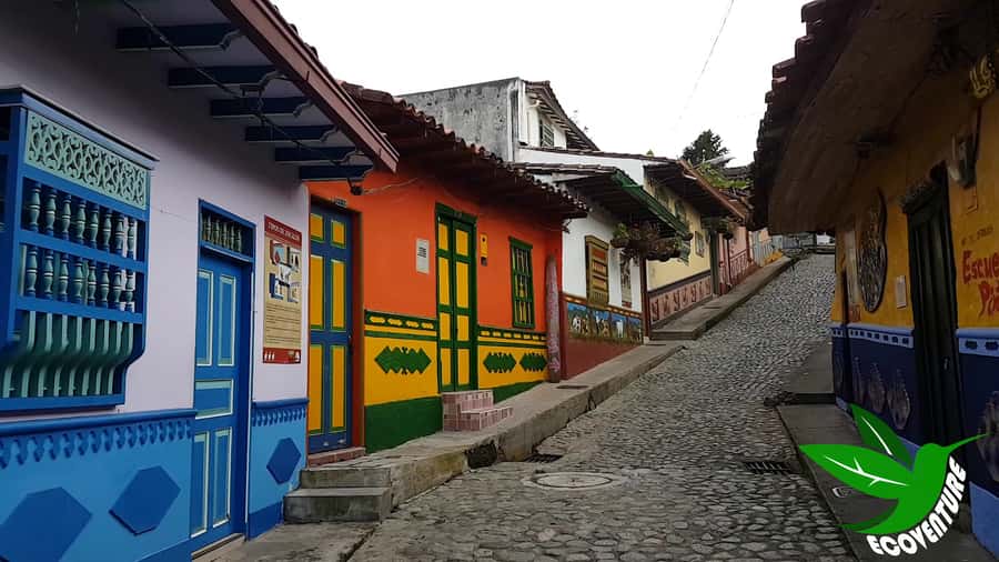 From Medellín: Paragliding Flight and Guatape Tour - Who this trip fits well, and who should skip it