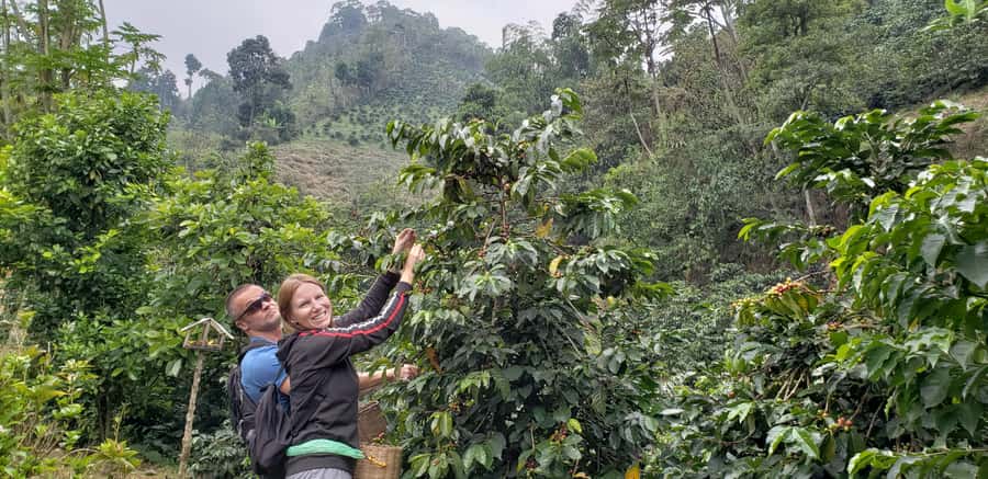 From Medellin: Private Envigado Coffee Tour with Tastings - Medellín to Envigado: a morning drive with real coffee context