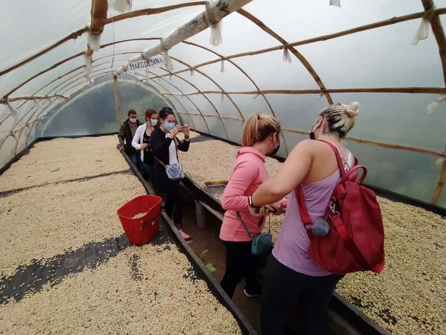 From Medellin: Private Envigado Coffee Tour with Tastings - The taste test: what fresh coffee teaches you on the spot