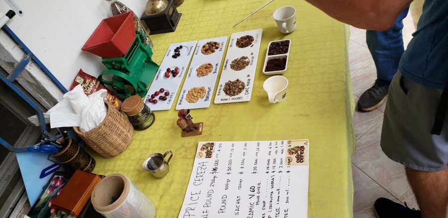 From Medellin: Private Envigado Coffee Tour with Tastings - How the guide experience shapes the day (and why Fabian stands out)