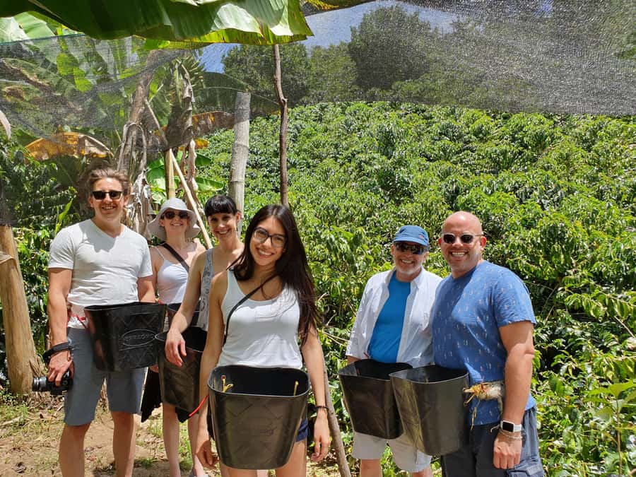 From Medellin: Private Envigado Coffee Tour with Tastings - Arriving at the coffee villa: where the seed-to-cup lesson clicks