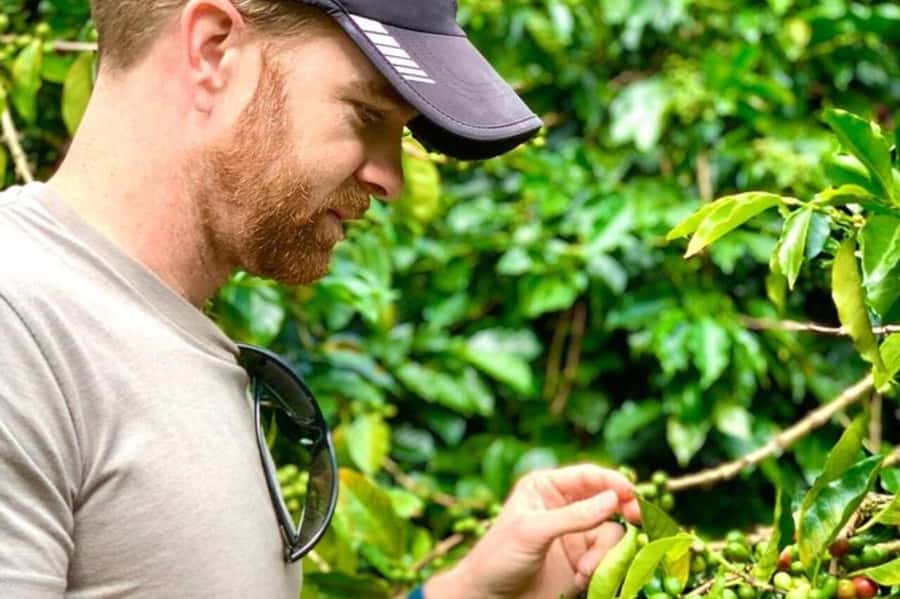 From Medellin: Private Guatape Car Tour with Coffee Tour - Price and value: what $147 buys you, and what it does not