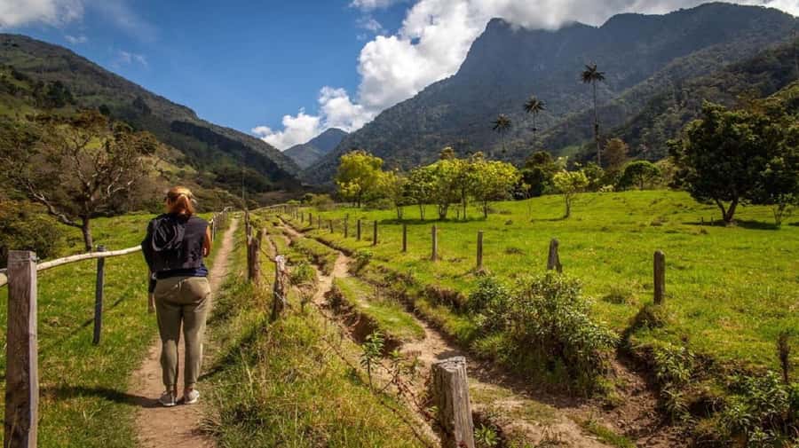 From Salento: Cocora Valley Hiking Tour with Lunch - Key things you will like on this Salento to Cocora day