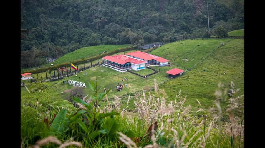From Salento: Cocora Valley Hiking Tour with Lunch - Salento to Cocora Valley by Willys Jeep: the ride that sets the tone