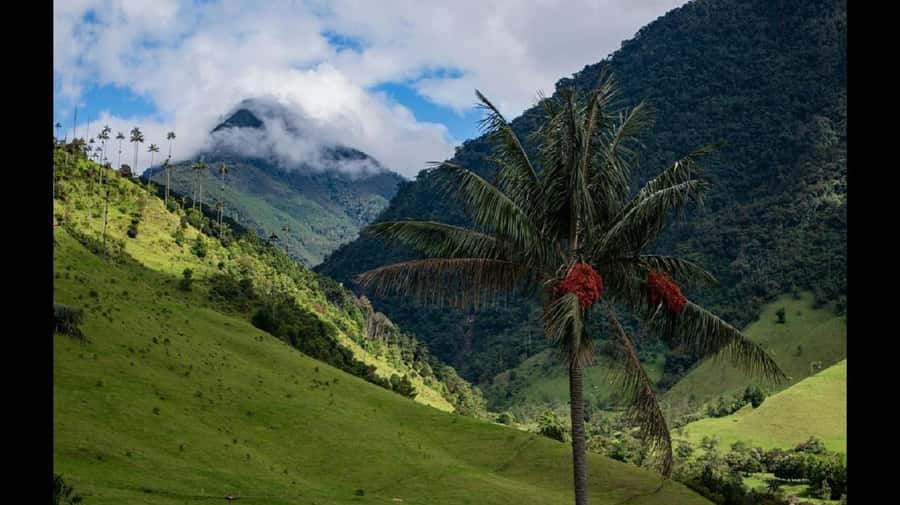 From Salento: Cocora Valley Hiking Tour with Lunch - Price and value: what $108 gets you in a 7-hour day