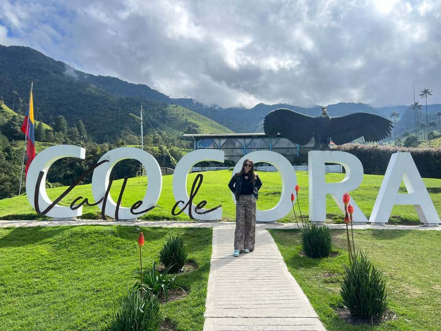 From Salento: Cocora Valley Shared Tour - Key highlights you should care about