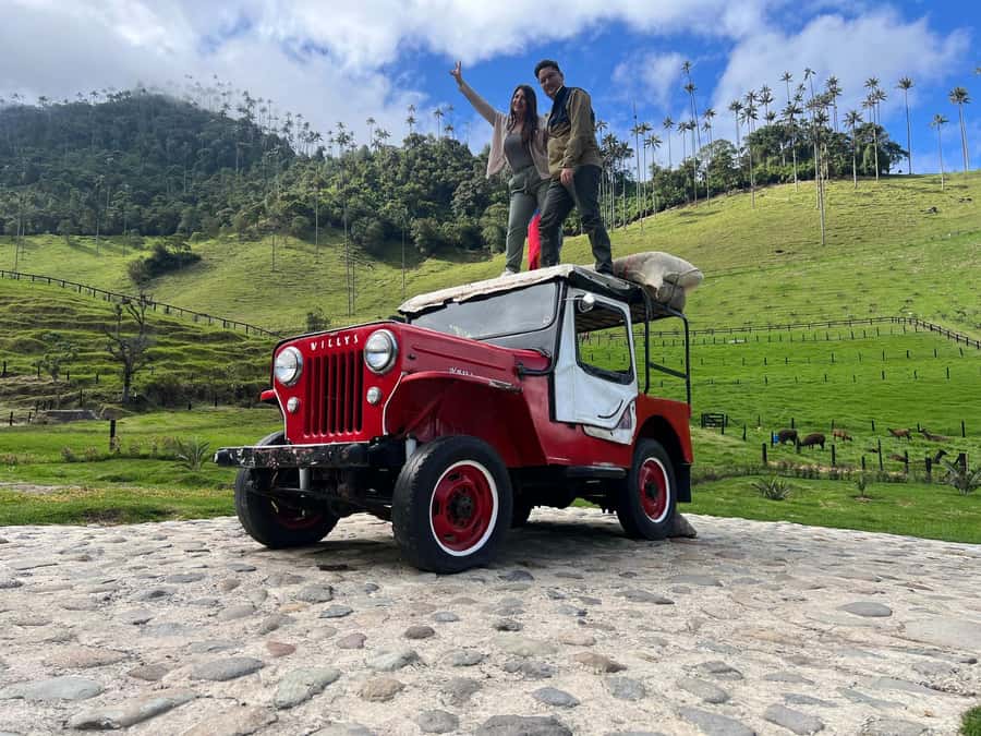 From Salento: Cocora Valley Shared Tour - Cocora Valley, wax palms, and why Salento makes it easy