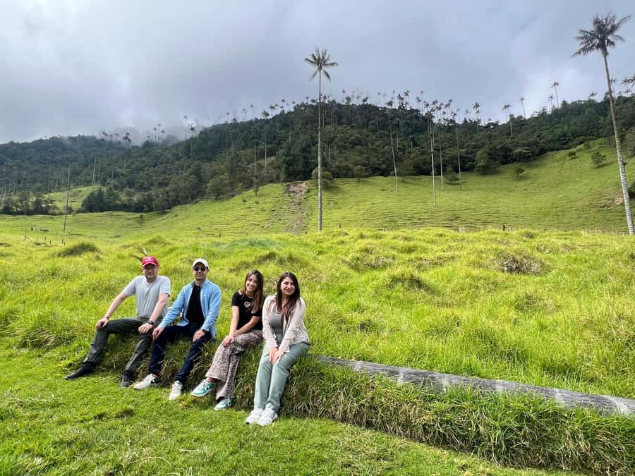 From Salento: Cocora Valley Shared Tour - The hike part: moderate walking, real views, and a guide who spots wildlife
