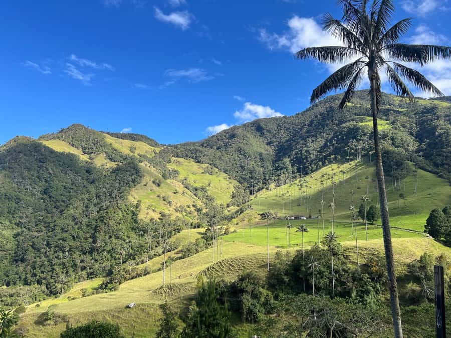 From Salento: Cocora Valley Shared Tour - The optional coffee farm add-on: hands-on from bean to cup