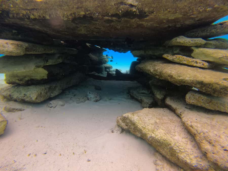 From San Andres: Cayo Acuario Tour - Entrance tax and transportation included: where the $28 value really comes from