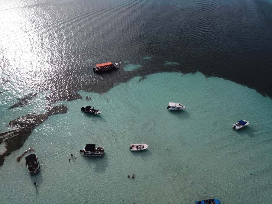 From San Andres: Cayo Acuario Tour - Practical tips that make the day smoother