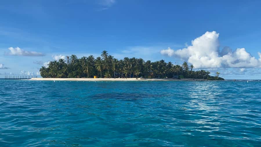From San Andrés: Speedboat Tour to Johnny Cay Island - What you can eat and drink, and the “no food on board” rule