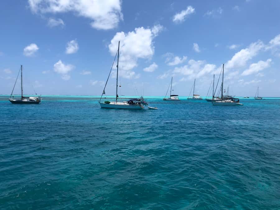 From San Andrés: Speedboat Tour to Johnny Cay Island - Who should book this Johnny Cay speedboat tour