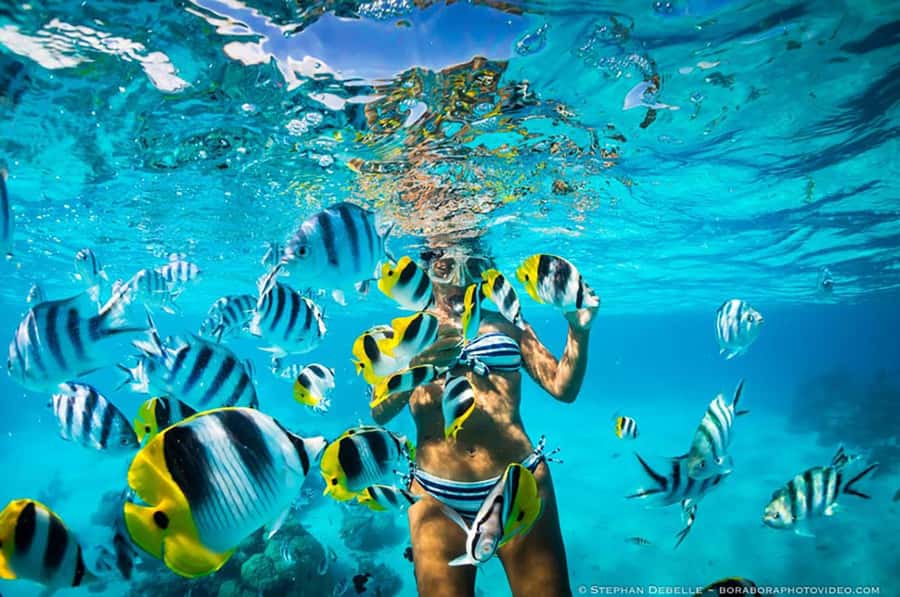From Santa Marta: Sisiguaca Beach Hike with Snorkeling - Snorkeling at Sisiguaca: the coral spotting is the value part