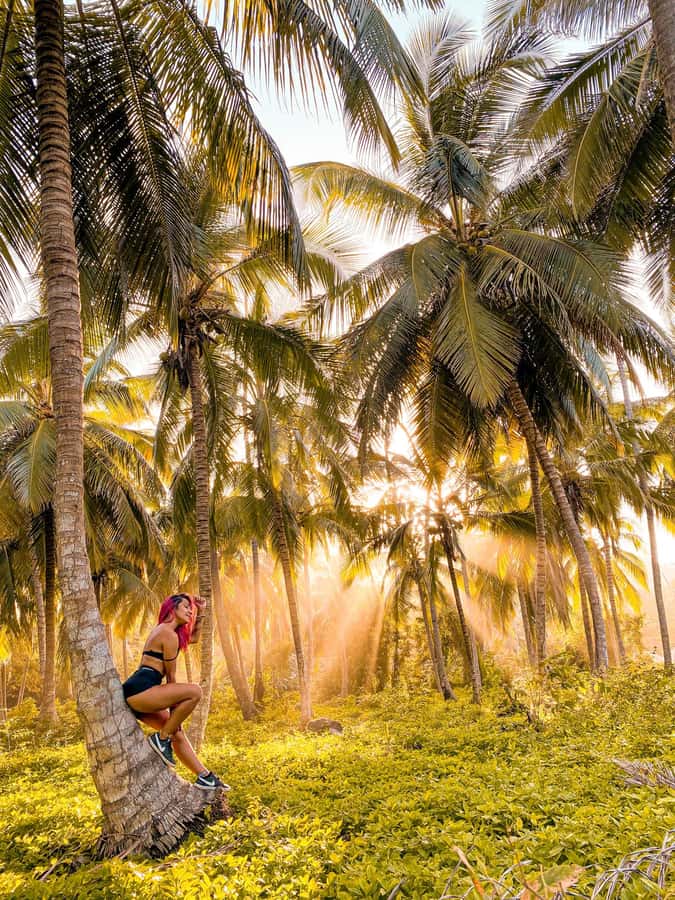 From Santa Marta: Tayrona National Park Guided Tour - Tayrona National Park from Santa Marta, the Way It’s Supposed to Feel
