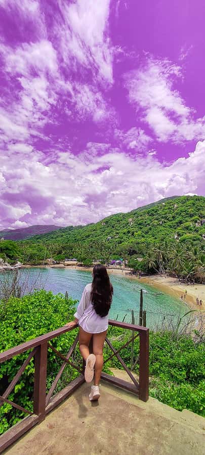 From Santa Marta: Tayrona National Park Guided Tour - The 4-Hour Ecological Hike: Forest First, Then Beach Covess