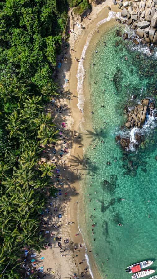 From Santa Marta: Tayrona National Park Guided Tour - Price, Value, and the Extra Fees You Must Plan For